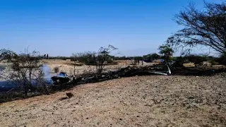 Nazca Lines crash prompts suspension of Aerodiana flights in Peru