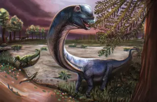 Giant sauropod unearthed: weighs roughly the same as nine elephants