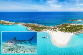 12-year-old American injured after shark encounter in Bahamas Exuma Cays