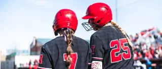 Nebraska Softball erupts for 17-2 rout of Minnesota behind dual grand slams