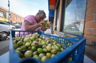Crackdown on Immigration Hits Chicago-Area Businesses, Study Finds