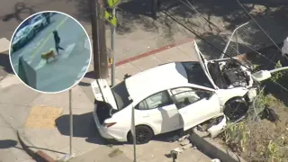 Oakland toddlers steal car, crash into pedestrian leaving dog-walker critically injured
