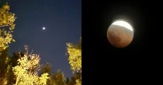 Near-Total Lunar Eclipse Graces Central Florida Sky