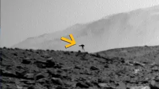 Mars Jellyfish Photo Explained: A Cosmic-Ray Glitch, Not a Creature