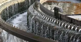 Hackers Hit America's Tap Water: A Wake-Up Call for Local Infrastructure