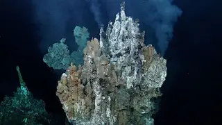Lakes Outshine Vents as Likely Cradle for Earth's First Life
