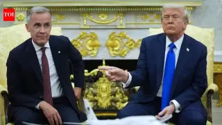 Maple under pressure: Trump tariffs strain long-standing US‑Canada ties