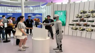 Humanoid Robots Face Real-World Hurdles Amid Policy and Performance Gaps