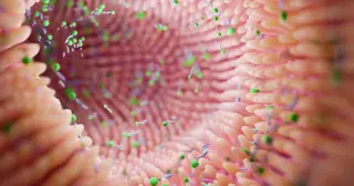 Debunking the 10:1 Bacteria Myth: Humans Are Closer to 1:1