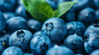 Daily Blueberries May Alter Gut Enzymes in Seniors, But Mood Benefits Remain Unproven
