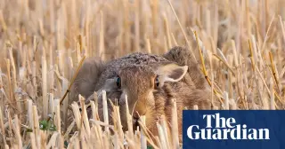 Readers' Best Photos: Eclipse Moments and Everyday Wildlife