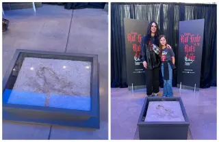 Chicago's 'Rat Hole' Makes Rare Public Appearance at Smashing Pumpkins Concert