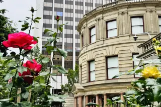 Portland Budget Showdown: PCEF, Shelters, and Trees at the Center