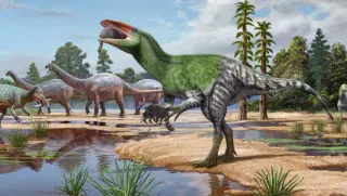 Century-Old Isle of Wight Fossil Reveals Europe's First Megaraptoran Dinosaur