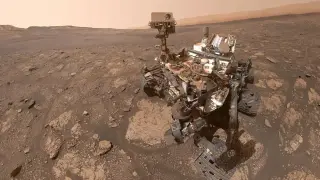 Spaceborne fungi survive sterilization, raising Mars contamination fears