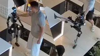 Humanoid robot defends itself after shopper pushes it in store, sparking AI-uprising chatter