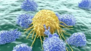 Vitamin B2 Gives Cancer Cells a Ferroptosis Shield, Pointing to a New Treatment Target