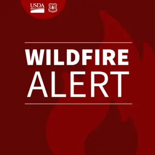 Pelada Fire Halted Near Santa Fe; Rio Fire Triggers Red Flag for Area