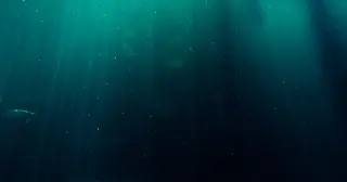 Plastic at the Hadal Depth: The Challenger Deep Sighting and the Broader Deep-Sea Debris Trend