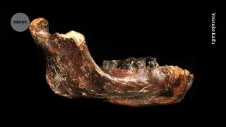 Denisovans in SW China: Long-Term Occupation Revealed by Bone Tools and Deer Hunting