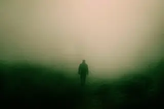 Fog Drops Harbor a Hidden Microbial World