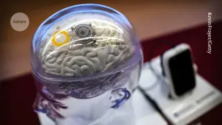 One brain implant decodes speech and gestures in real time