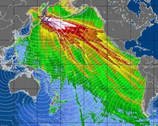 SWOT Satellite Reveals Braided Pacific Tsunami and Forecast Implications