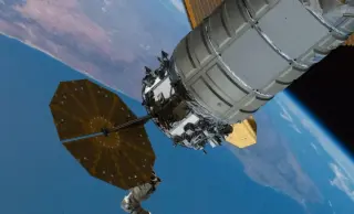 Orbiting Worms Could Map Health Risks for Future Astronauts