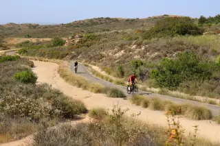Irvine rattlesnake bite tragedy spurs renewed trail-safety warnings
