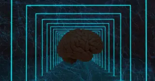 Consciousness as a Fundamental Feature of Reality, Not a Brain Product