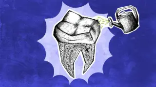 Regenerating Teeth: Scientists Aim to Grow a Living Tooth