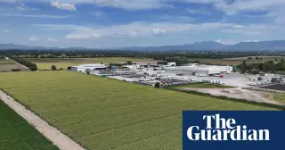 FDA closes cyclospora probe, finds parasite in Mexican farm wastewater and drainage