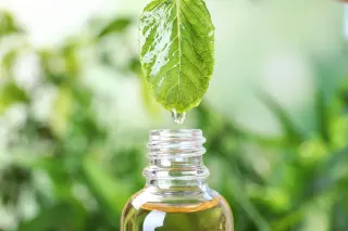 Peppermint Oil Shows Potential to Lower Mild Hypertension in 20-Day Trial