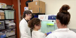 Hawaii researchers developing first field test kit for Brucellosis in feral pigs