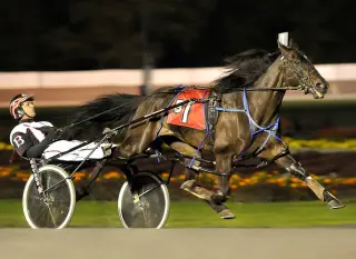 Backstretch Tragedy: 17 Horses Die in Saratoga Harness Fire