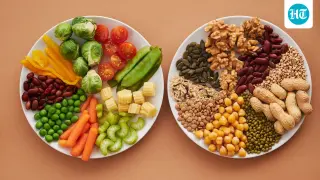 Soluble vs Insoluble Fiber: How Each Type Helps Constipation and Gut Health