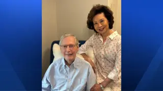McConnell in Recovery, Skips Fancy Farm Picnic as He Rebuilds Strength