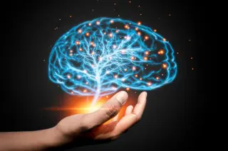 Brain Health Can Improve at Any Age, Large-Scale Study Finds