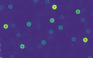Roman Telescope’s 300-Megapixel Camera Activates, Producing Blurry 'Green Donuts' During Commissioning