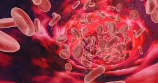McGill team tests 'click clotting' to halt bleeding in seconds