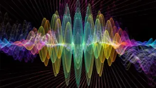 Quantum Breakthrough, Frog Sex Reversals, Invasive Pines, and a Puma-Cheetah Kin