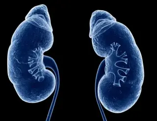 Oxalate drives systemic inflammation and heart injury in kidney disease