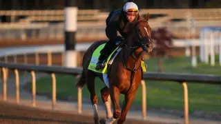 Derby 2026: Demling backs Commandment and Further Ado over favorite Renegade