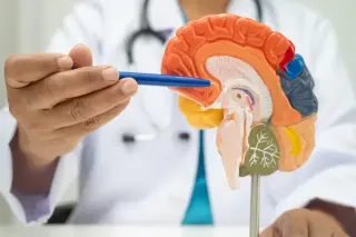 Neurosurgeon outlines seven daily habits that silently erode long-term brain health