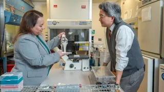 Living knee implants could become your last knee replacement