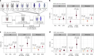 Exome study flags 36 high-impact genes for OCD and tic disorders
