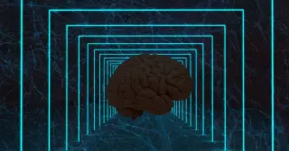 Consciousness Could Be Universal, Not Brain-Born, Says Neuroscientist