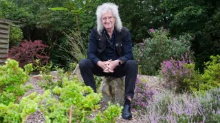 Daffodil plan blocked as Brian May’s Surrey village planting faces safety pushback