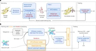 Google's SynthID Bio Embeds Invisible Watermarks in AI-Designed Proteins to Boost Biosecurity