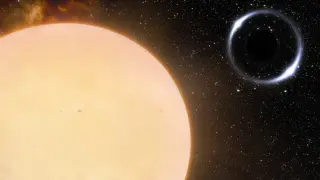 Gaia BH1: Earth's Nearest Known Black Hole at 1,600 Light-Years